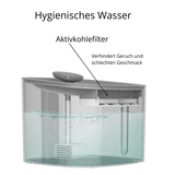 MIU smarter 3 Liter LED Katzen Wasserbrunnen, ermutigt Deine Katze mehr zu trinken