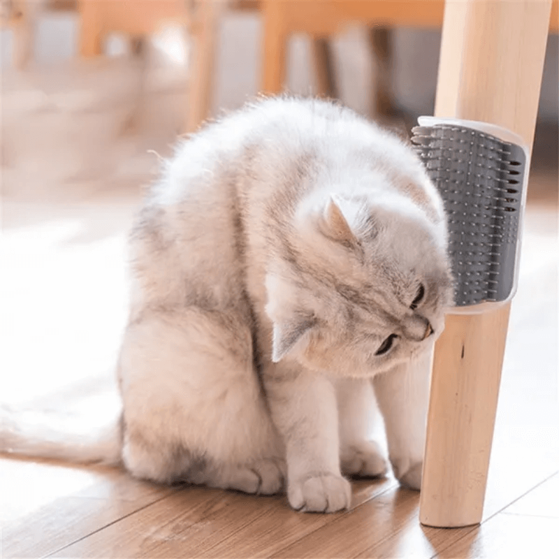 BURLI weiche Katzenbürste mit Katzenminze, massiert und pflegt das Gesicht Deiner Katze