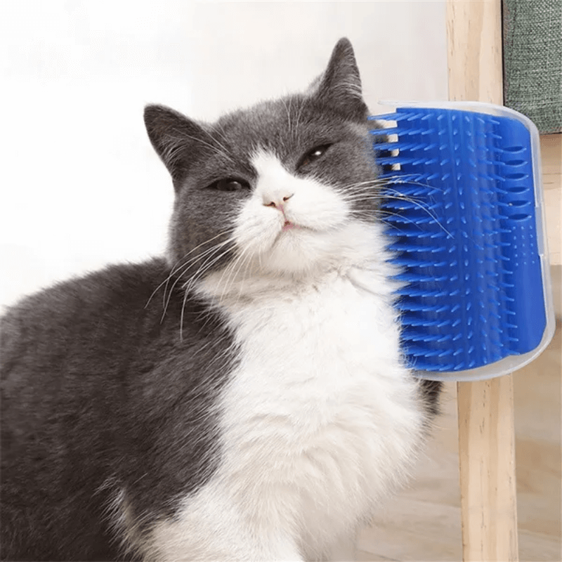 BURLI weiche Katzenbürste mit Katzenminze, massiert und pflegt das Gesicht Deiner Katze