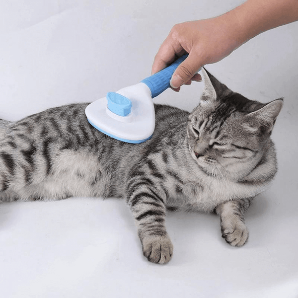 MERLA handliche Fellbürste, befreit Deine Katze von Schmutz und losen Haaren