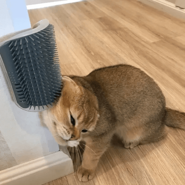 BURLI weiche Katzenbürste mit Katzenminze, massiert und pflegt das Gesicht Deiner Katze