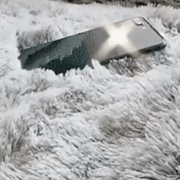 MINLI extrem luxuriöses, superweiches Katzenbett, komfortabel und Ängste reduzierend